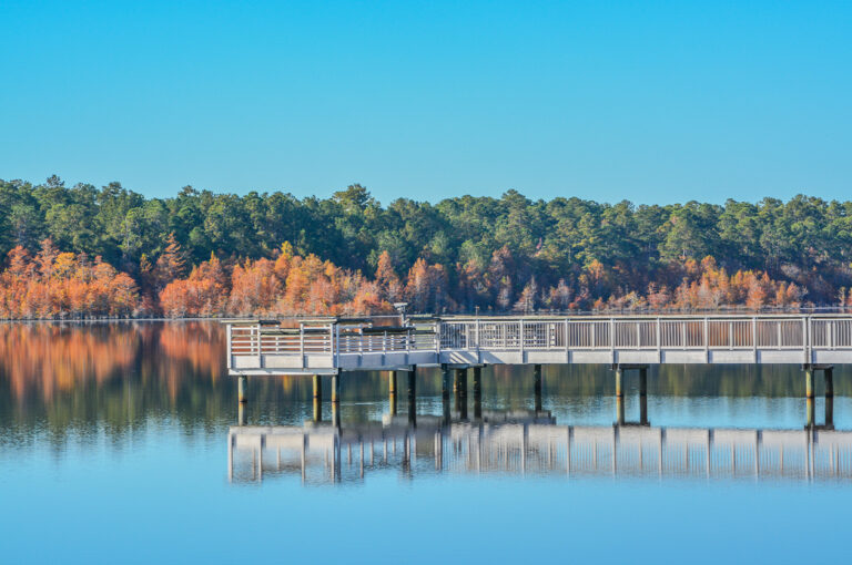 mcrae-georgia-location-768x510