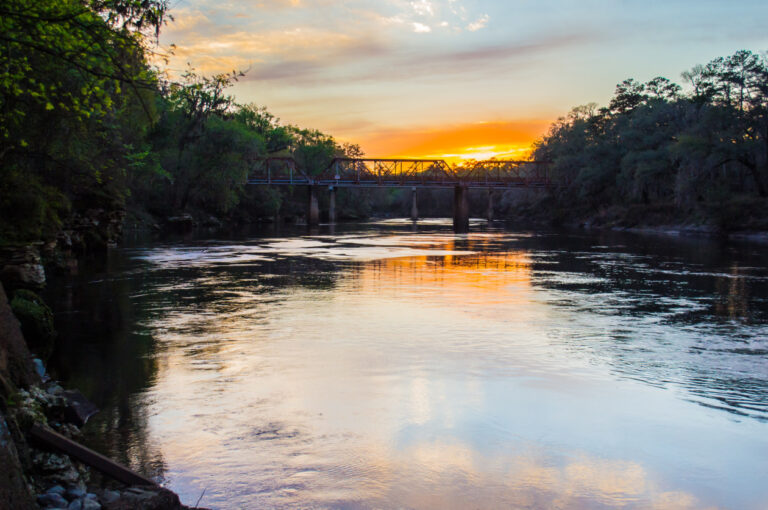 suwanee1-768x510